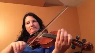 Day 261 - Waltzing Through The Leaves - Patti Kusturok's 365 Days of Fiddle Tunes