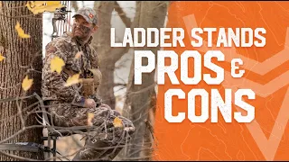 Pros and Cons of Ladder Stands for Deer Hunting | Wired To Hunt