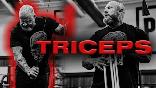 TRICEPS TRAINING 101 | MIKE VAN WYCK