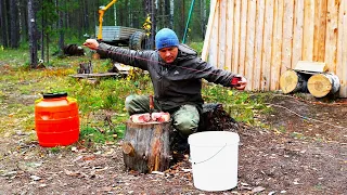 ПЕРВАЯ привада на ВОЛКА! Расставил ЛОВУШКИ.  Разгрёб весь МЕТАЛЛ  | Добрался до Секретной ЯМЫ.