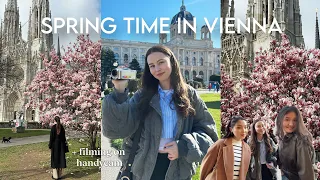 Spring time in Vienna 🌸 | magnolia blossom, city wandering | my first weeks and first friends