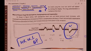 CAL experiment with viva discussion . All receptors with drugs agonist and antagonist are important