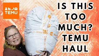 How Much Is Too Much Temu?  #temu #temuhaul #temufinds #temucraftsupplies #temuspring