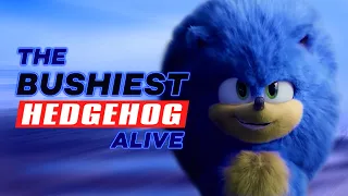 The Sonic Duology is Inoffensively Inoffensive