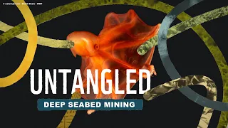 Untangled: Deep seabed mining