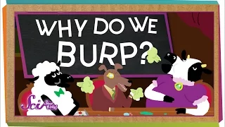 Why Do We Burp?