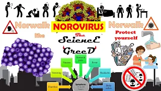 Norovirus, Have You Ever Heard of Norovirus? virology Transmission, Symptoms, Prevention