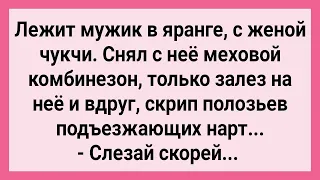 Мужик Залез на Жену Чукчи! Сборник Свежих Смешных Жизненных Анекдотов!