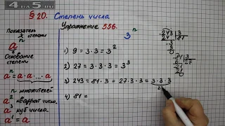 Упражнение 556  – § 20 – Математика 5 класс – Мерзляк А.Г., Полонский В.Б., Якир М.С.