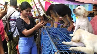 RECENT DOG PUPPY PRICE UPDATE | GALIFF STREET PET MARKET KOLKATA | CHEAPEST PRICE|VISIT 26JUNE 2022