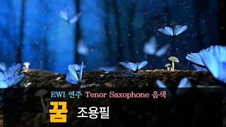 꿈 - EWI 연주(Tenor Saxophone 음색)