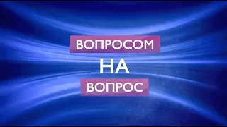 Вопросом на вопрос. Премия имени Сергея Вайнштейна