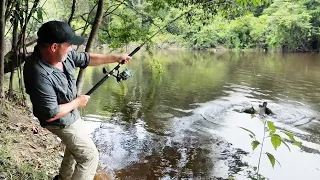 Je pêche un Poisson ULTRA DANGEREUX et Très Rare ! - Cyril Chauquet