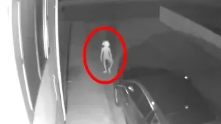 Mother Doesn't Know What Creature Was At Her Door