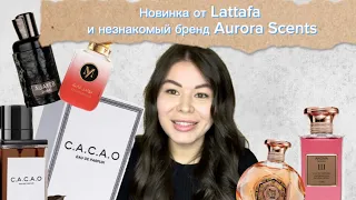 Старая-добрая Lattafa и неизведанная Aurora Scents - очередные арабские парфюмки 🇦🇪