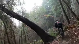 UCSC 9-30-23 first downhill, unknown trail, Richard Lee