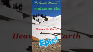 Padri Pass I Top Tourist Destination I Mini Switzerland Of India  I Bhaderwah #shorts #youtubeshorts