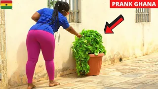 😂😂😂PRETTY GHANA LADIES SCREAM THEN LAUGH! Bushman, Gorilla, Statue Pranks. Throwback Compilation.