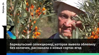 Барнаульский селекционер, которая вывела облепиху без колючек, рассказала о новых сортах ягод