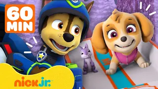 PAW Patrol | PAW Patrol retten ihre Freunde! | 60 Minuten Compilation | Nick Jr. Deutschland