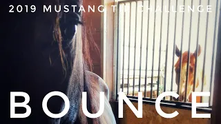 Time to Bounce | 2019 Mustang TIP Challenge