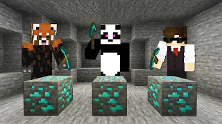 CONCURS de MINAT DIAMANTE cu SINNER si NOCIVANU'! *MineCity*