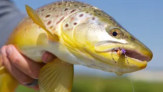 Montana Fly Fishing Roadtrip - cheapest way to catch the most fish