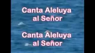 CANTA ALELUYA AL SEÑOR   VÍDEO KARAOKE CRISTIANO   YouTube