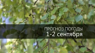 Прогноз погоды на 1 и 2 сентября