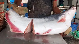 Padma River Pangasius Fish Cutting In Fish Market | Monster Pangas Fish | Fish Cutting Skills