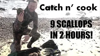 Scallop Diving Southern California: Scallop Sushi!