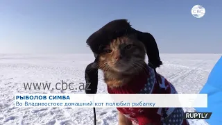 Во Владивостоке домашний кот полюбил рыбалку
