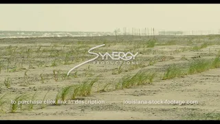 567 Awesome view grass erosion barrier on the Louisiana Coastline grand isle port fourchon video...