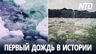 На самой высокой горе Гренландии впервые пошёл дождь