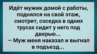 Соседка в Одних Трусах Под Чужой Дверью Сидит! Сборник Свежих Анекдотов! Юмор!