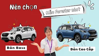 ✅ So Sánh Chi Tiết 2 Phiên bản Forester/ Nên Chọn Phiên Bản Nào Là “TỐT NHẤT” 2024/Minh Mẫn Subaru