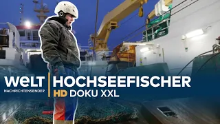 Deutsche Hochseefischer - Harte Arbeit auf rauer See | WELT HD Doku XXL