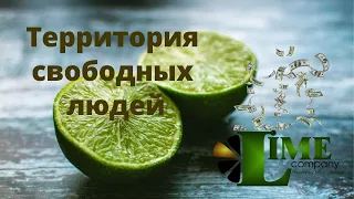 Lime company обзор кабинета|| БитЛайм|| BitLime