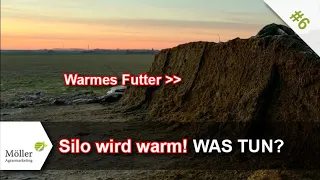 Grassilo oder Maissilo wird warm! Was tun ... und warum Propionsäure nix bringt? #6/13