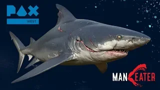 PAX WEST 2019 - Shark Attack! Tripwire Interactive Presents Maneater