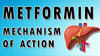 Metformin Mechanism and Side Effects