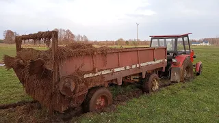 🔥ROZPOCZĘCIE SEZONU Z WTOPĄ🔥oporowy obornik🔥ursus c-360 & c-4011 & 1014🔥