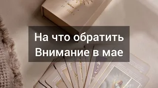 На что обратить внимание в мае?