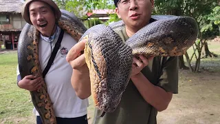 아마존2편- 전 세계에서 가장 큰 뱀인 거대 아나콘다를 만나다..죽을뻔 했네...