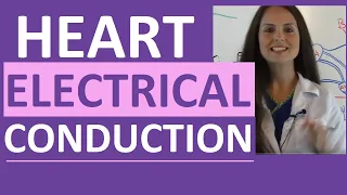 Electrical Conduction System of the Heart Cardiac | SA Node, AV Node, Bundle of His