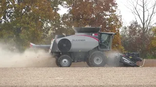 Harvest 2020 | Gleaner S96 Combine Harvesting Soybeans | Soybean Harvest 2020