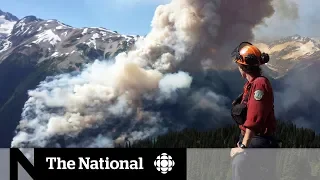 Mild B.C. wildfire season brings relief