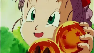 Bulma le enseña sus bragas a Goku DB