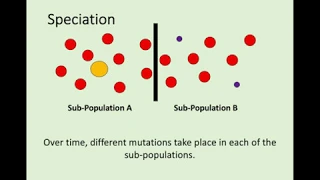 National 5 - 3.6 Evolution of Species