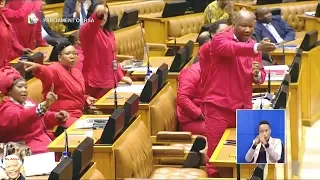 Comedy And Chaos In Parliament: EFF vs FF Plus And COPE